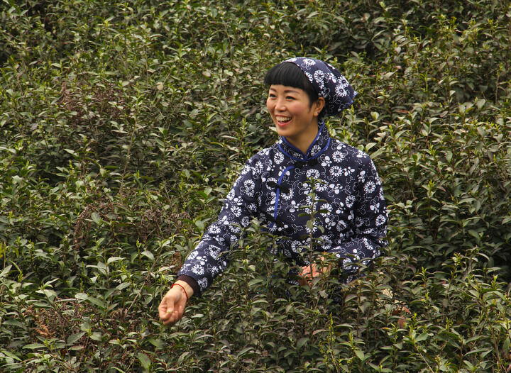 暗巷枪火